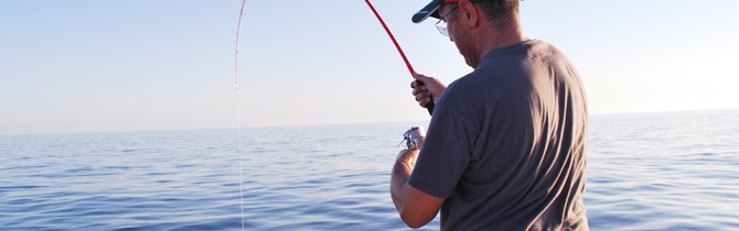 tuna4