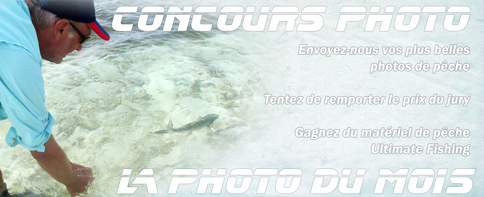 photos
