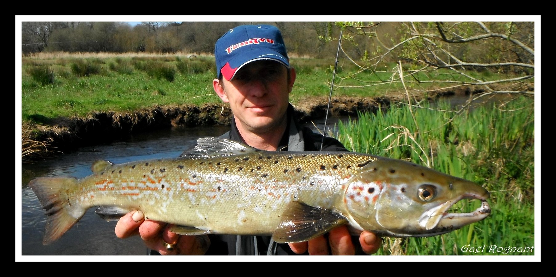 peche truite leurre ouverture