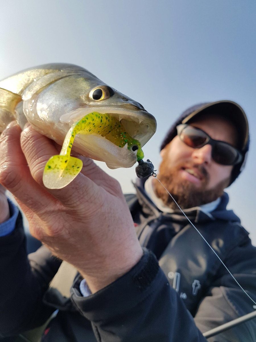 Le Sling Shad est vite devenu une référence pour la pêche du sandre.