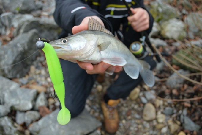 oneup7 micro zander