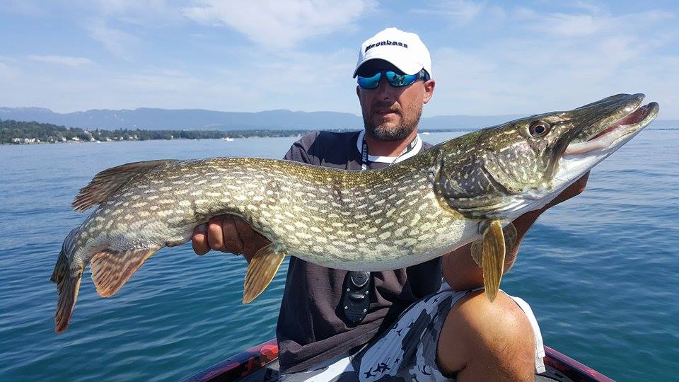 Partie de pêche du brochet sur le lac Léman Ultimate Fishing