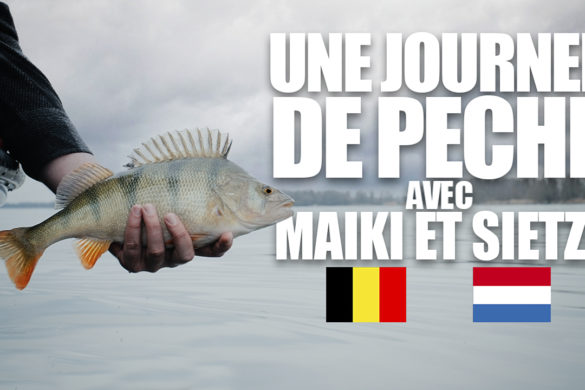 Pêche en Automne en Belgique et en Hollande