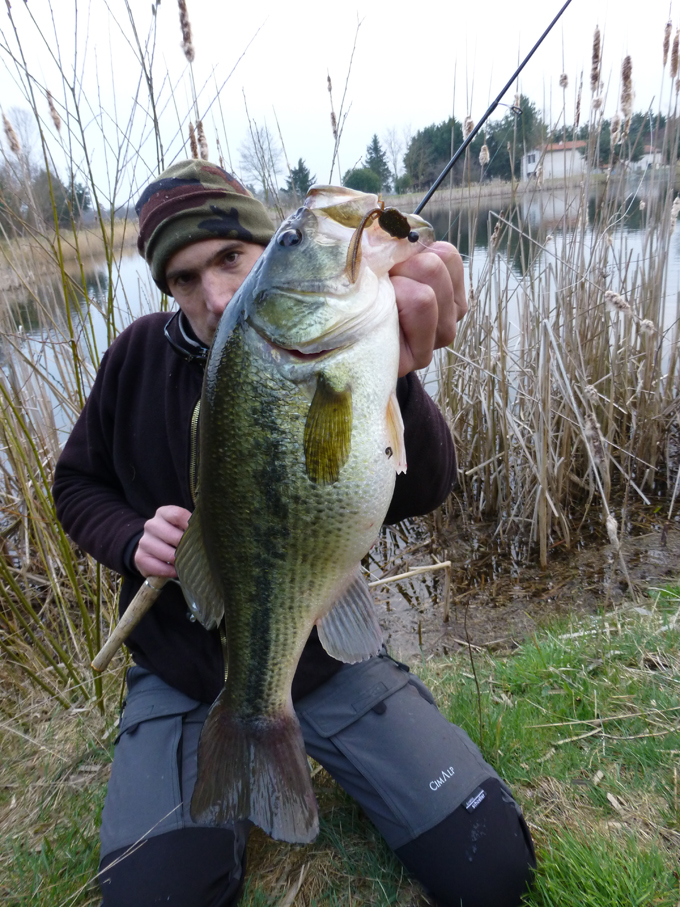 photo-3