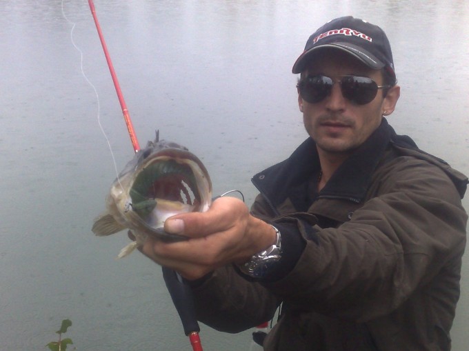 Bass de 52 au Mother worm 8 (6)