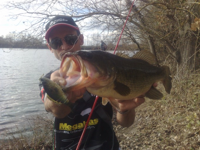 Bass de 52cm VS Vagabond Simson (2)