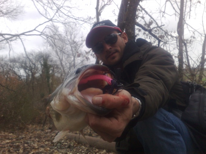 Bass de 53cm