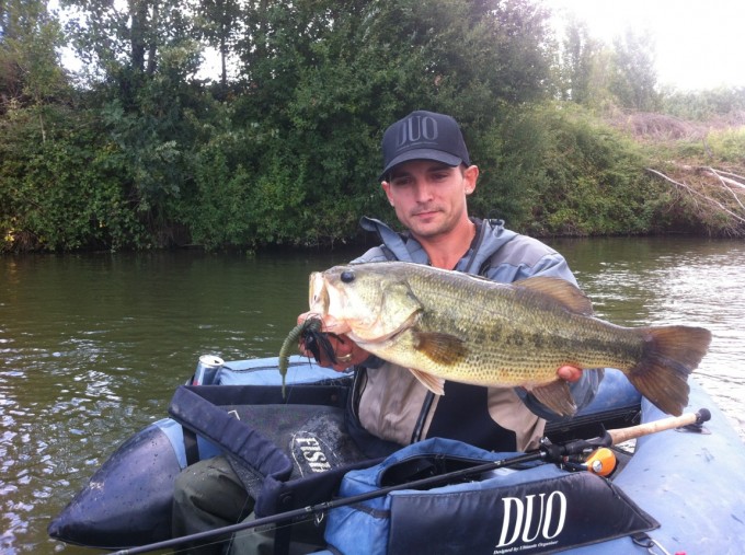 Vagabond Air Bait 5 VS Bass de 52cm