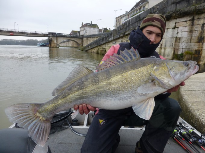 saone89novembre