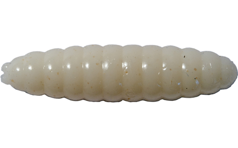 NIKKO_BudoMushi039white
