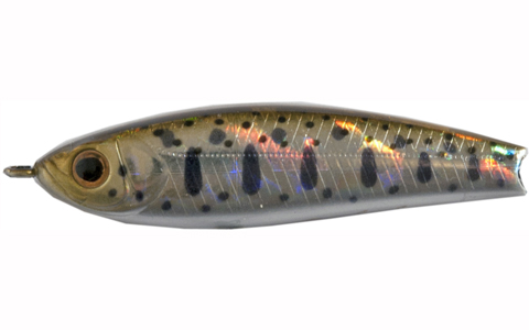 RiggeSLineRaphael810
