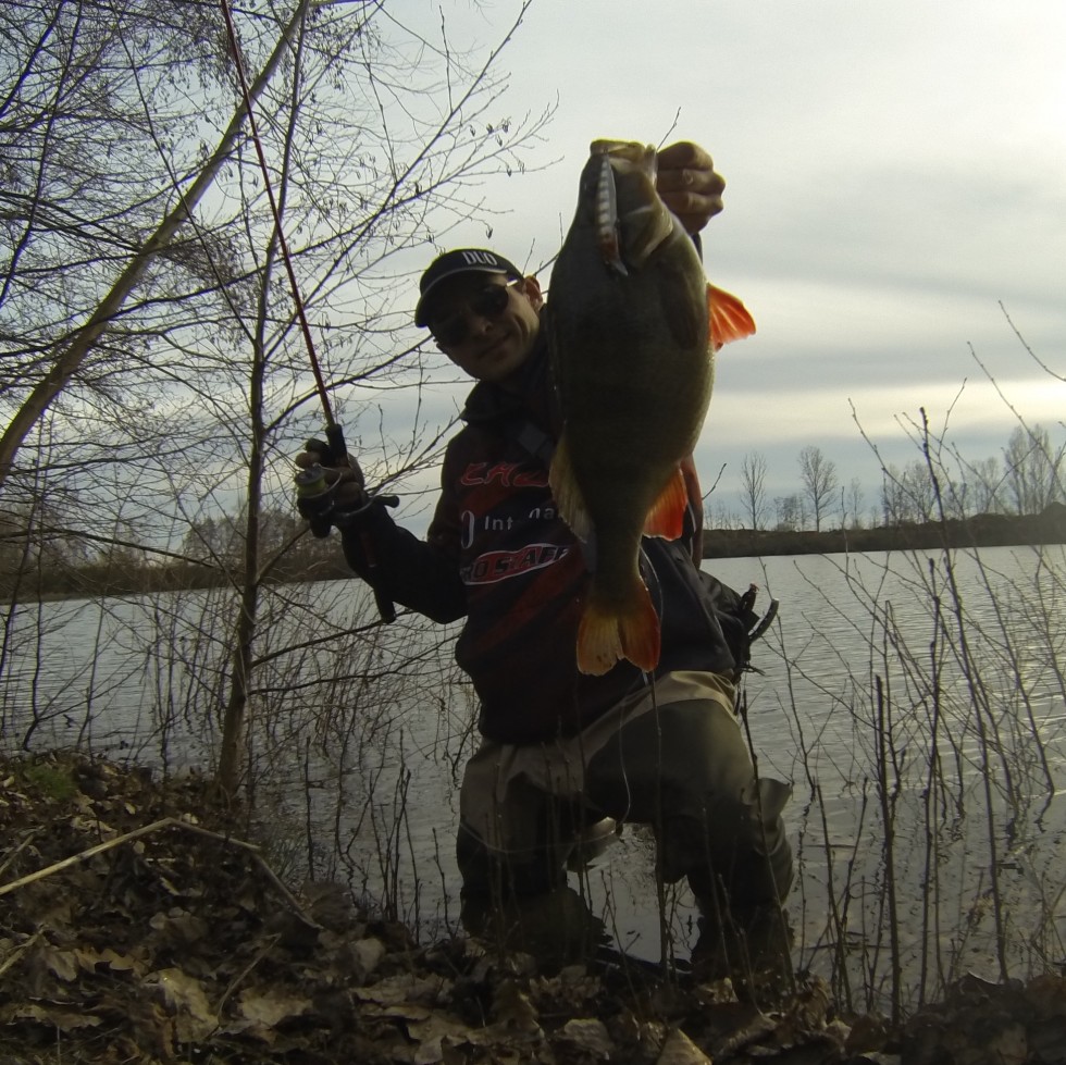 DCIM100GOPRO