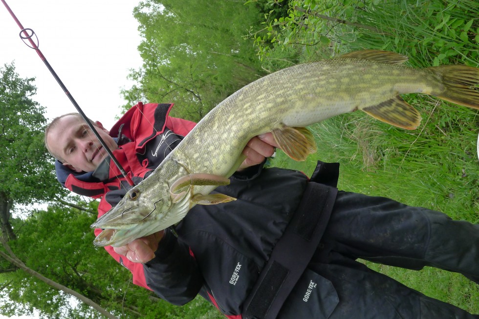 Pour réussir au brochet, faites tourner Ultimate Fishing