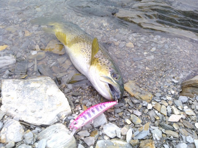 DUO Spearhead Ryuki 80s VS Green Brown Trout ;-)