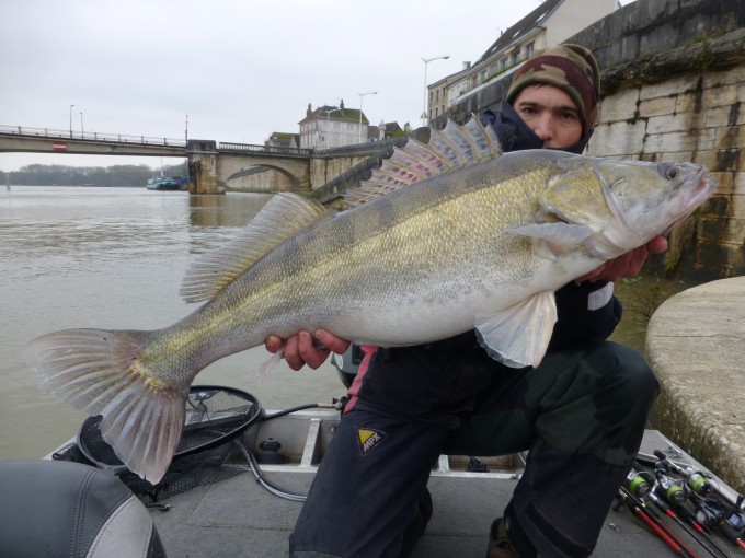 saone89novembrebis