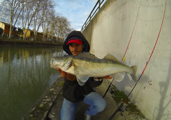 DCIM100GOPRO