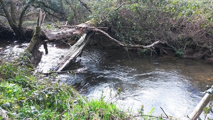 ruisseau