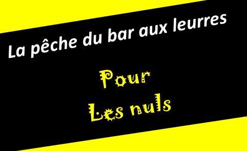 Agrafes rapides, 3 bonnes raisons pour les utiliser quand on pêche au leurre