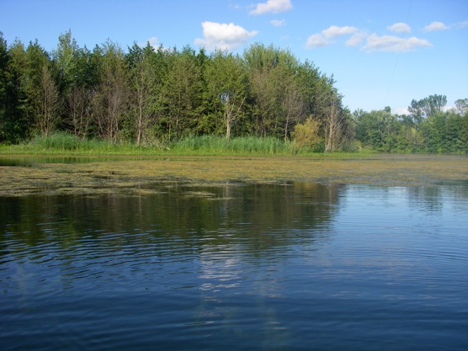 postebass