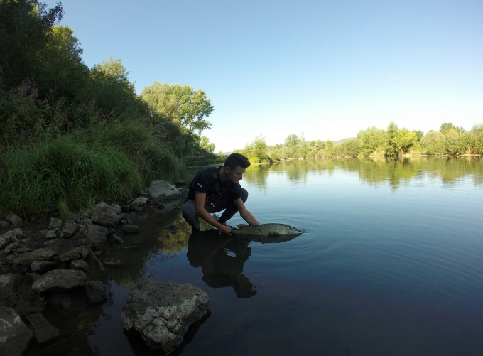 DCIM104GOPRO
