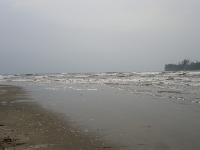 DSC01446