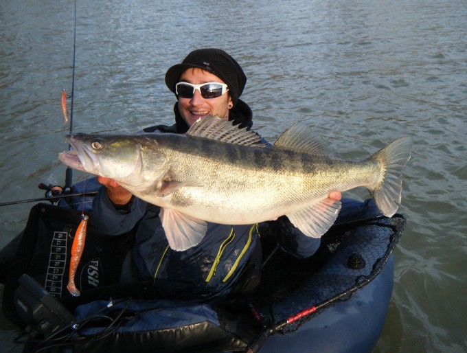 oneup7zander86article