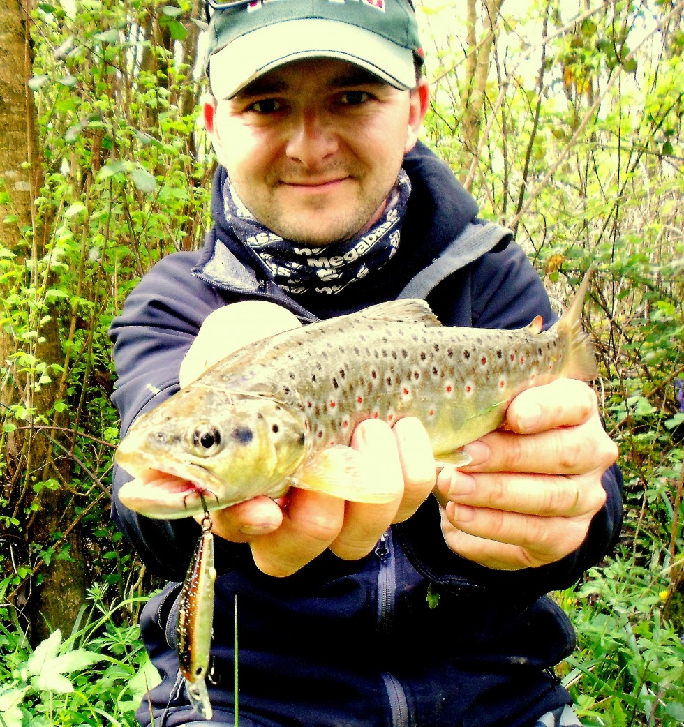 La truite aux leurres en ruisseaux et petites rivières , le choix du