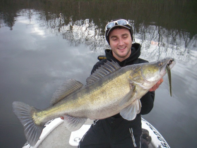 zander 91.5