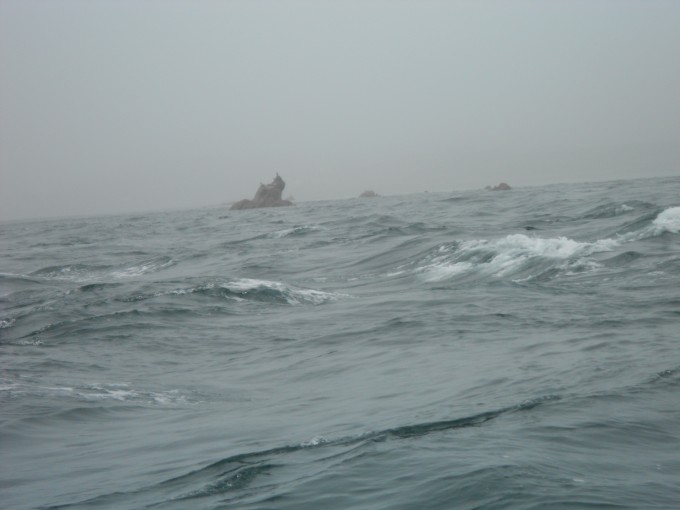 DSCN0088