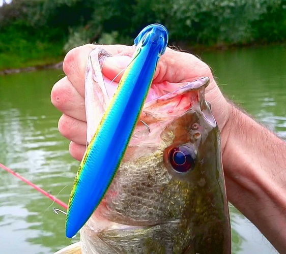 DUO Realis Pencil Popper 110 VS Bass