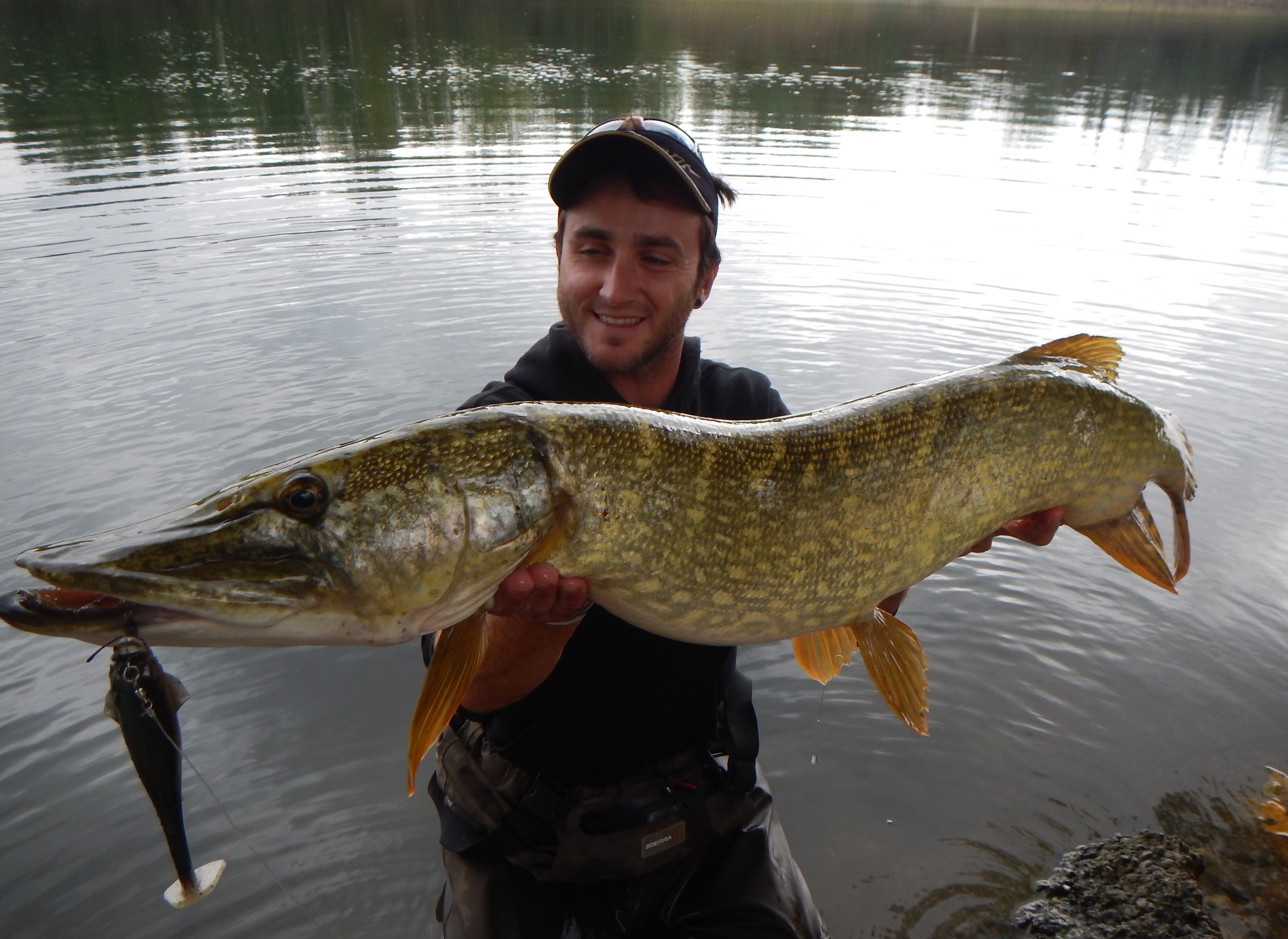 Ouverture du brochet 2019 : Bien choisir ses cannes à brochet