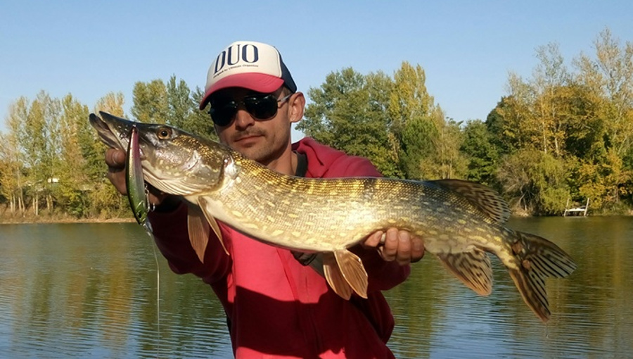 La pêche du brochet aux leurres en automne - Fishare – FISHARE