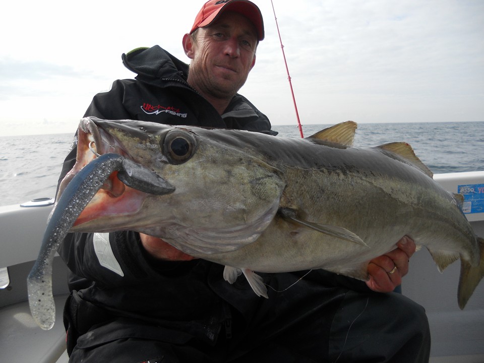 lieu rolling shad