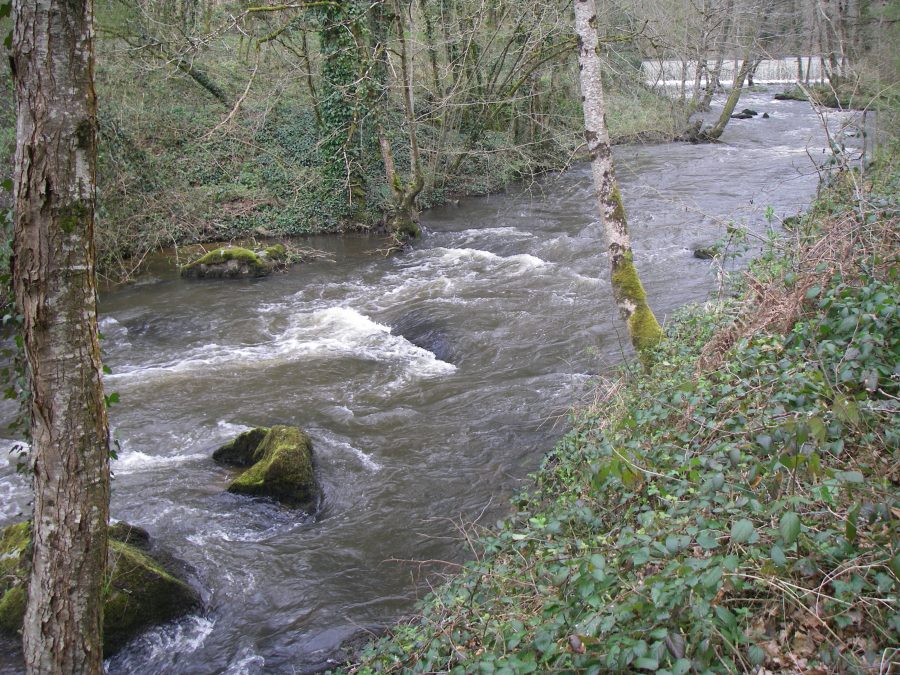 IMGP0765