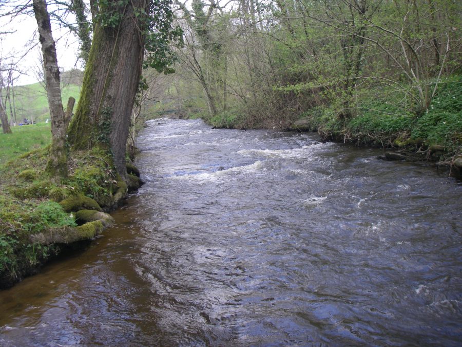 IMGP0899