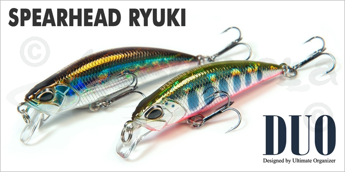 ryuki_1