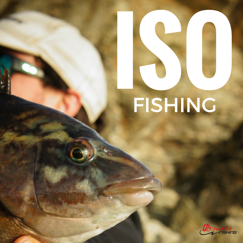 ISO FISHING-2