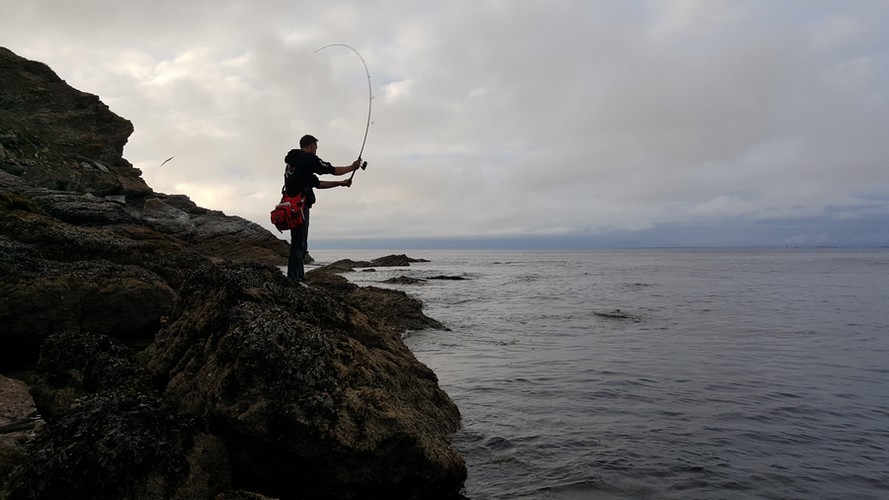 Ma première expérience en mer sur la pêche du bar au leurre souple