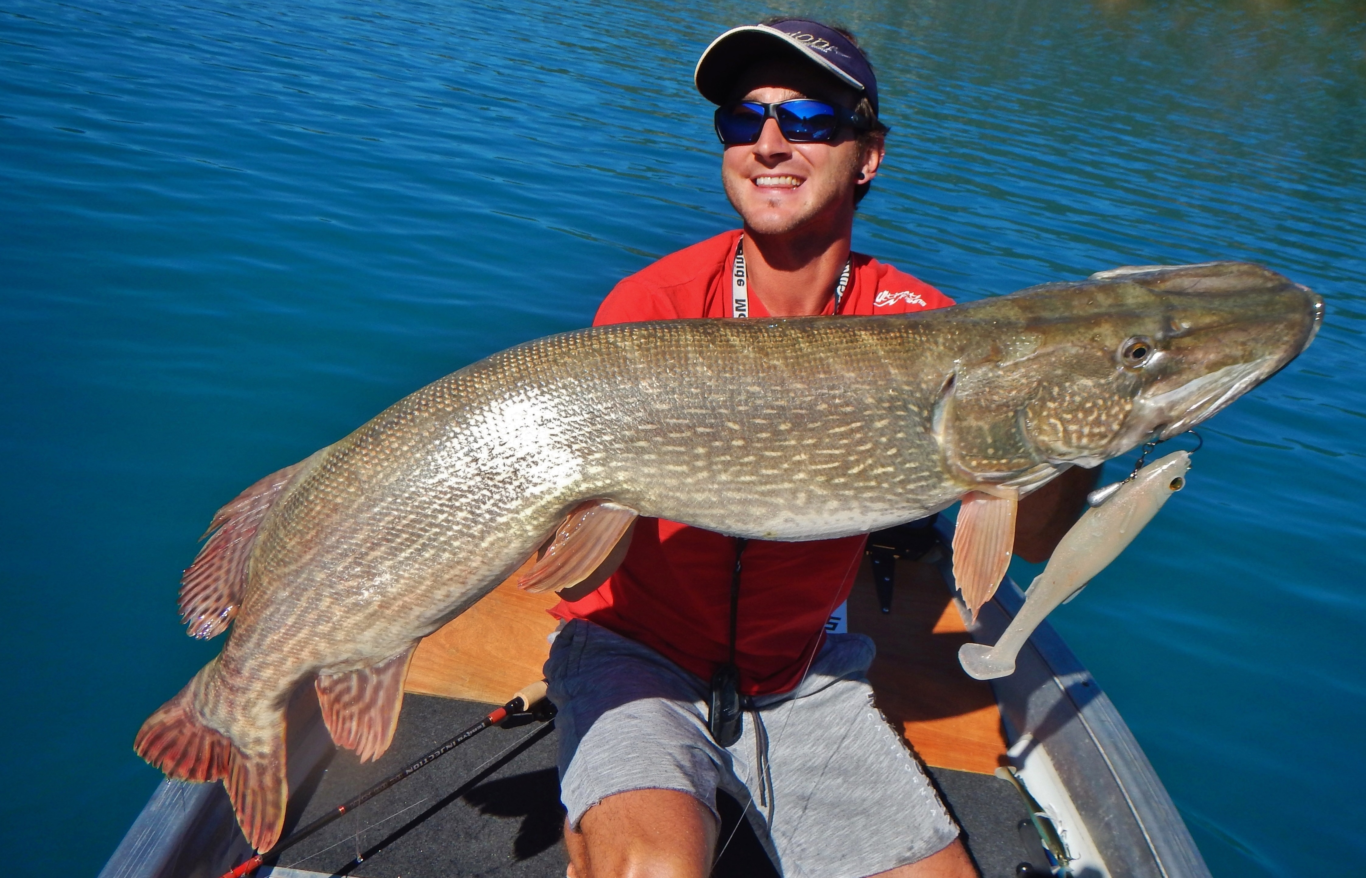 Vidéo / Quels leurres pour pêcher le Brochet en début de saison