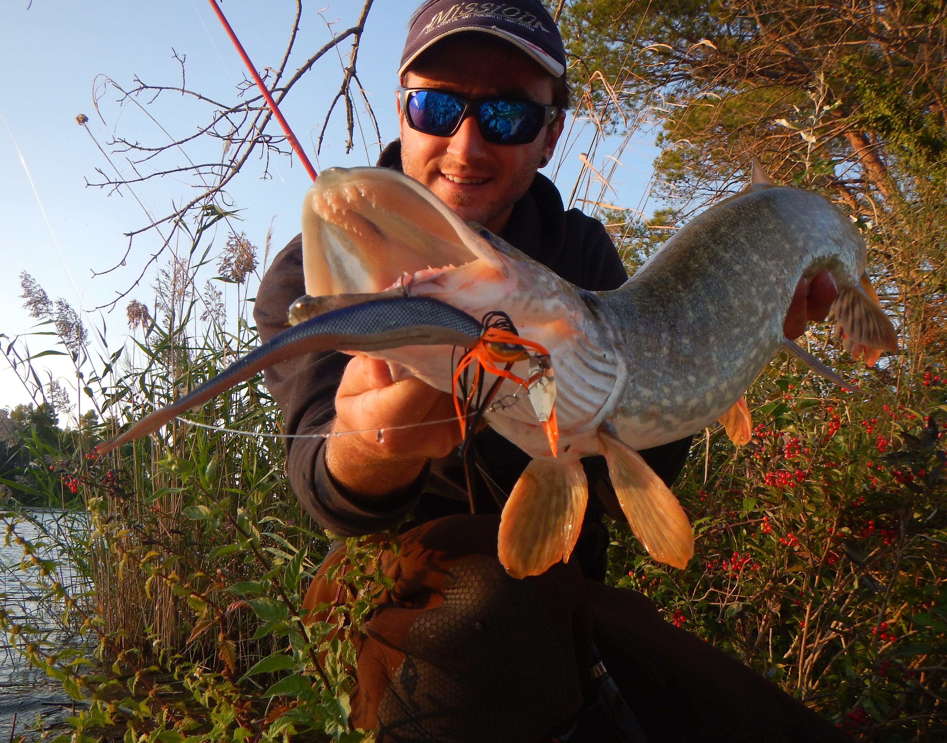 Un chatterbait 100% Megabass