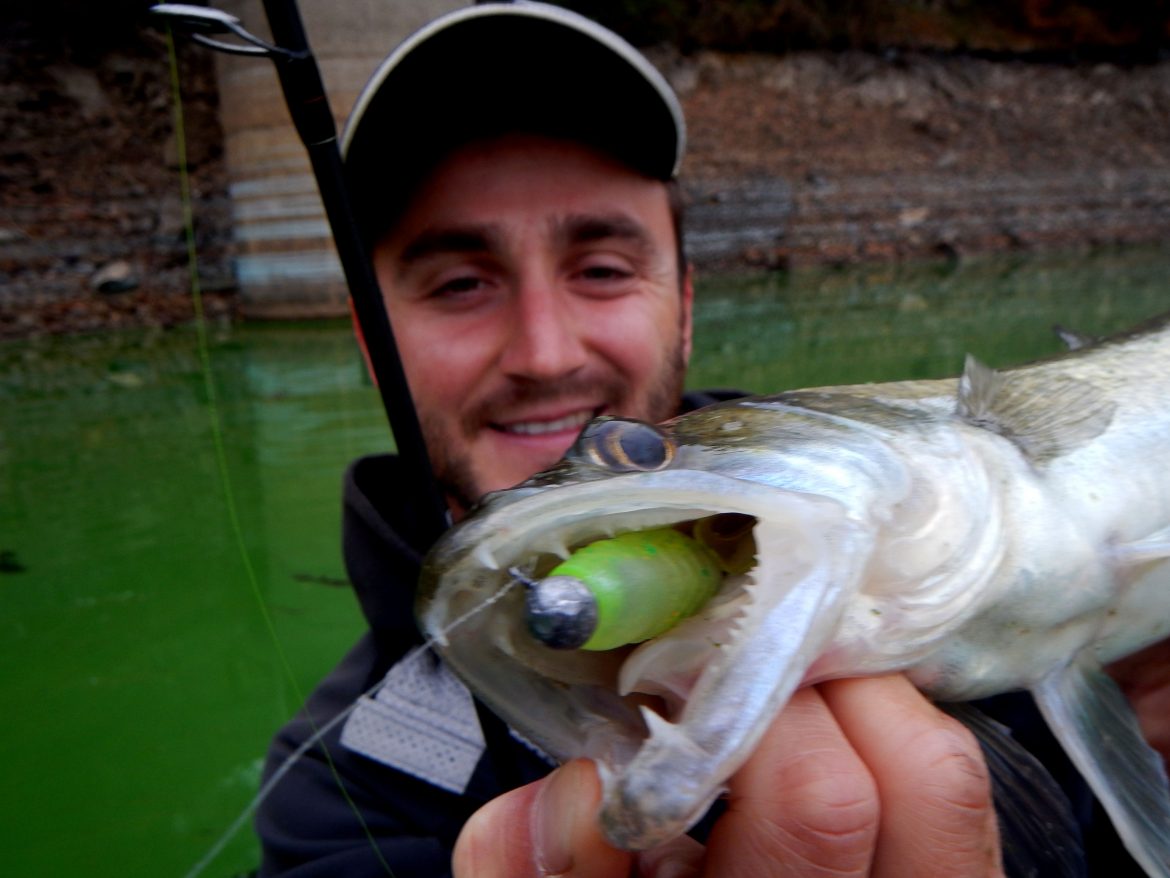 Xlayer Curly, le retour du grub dans nos boites! Ultimate Fishing
