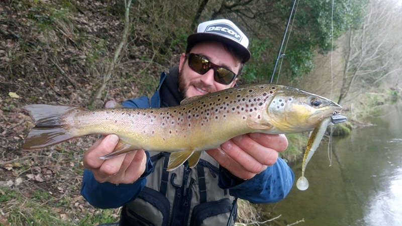 Truite aux leurres souples : comment bien pêcher au shad ? - DPSG