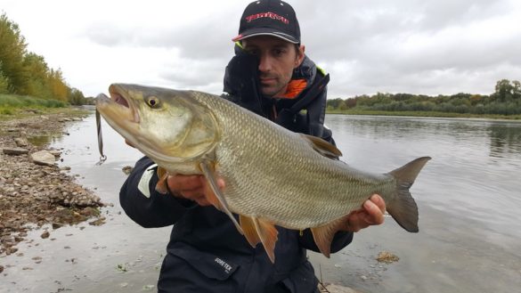 Aspes, le bon moment c’est maintenant ! | Ultimate Fishing