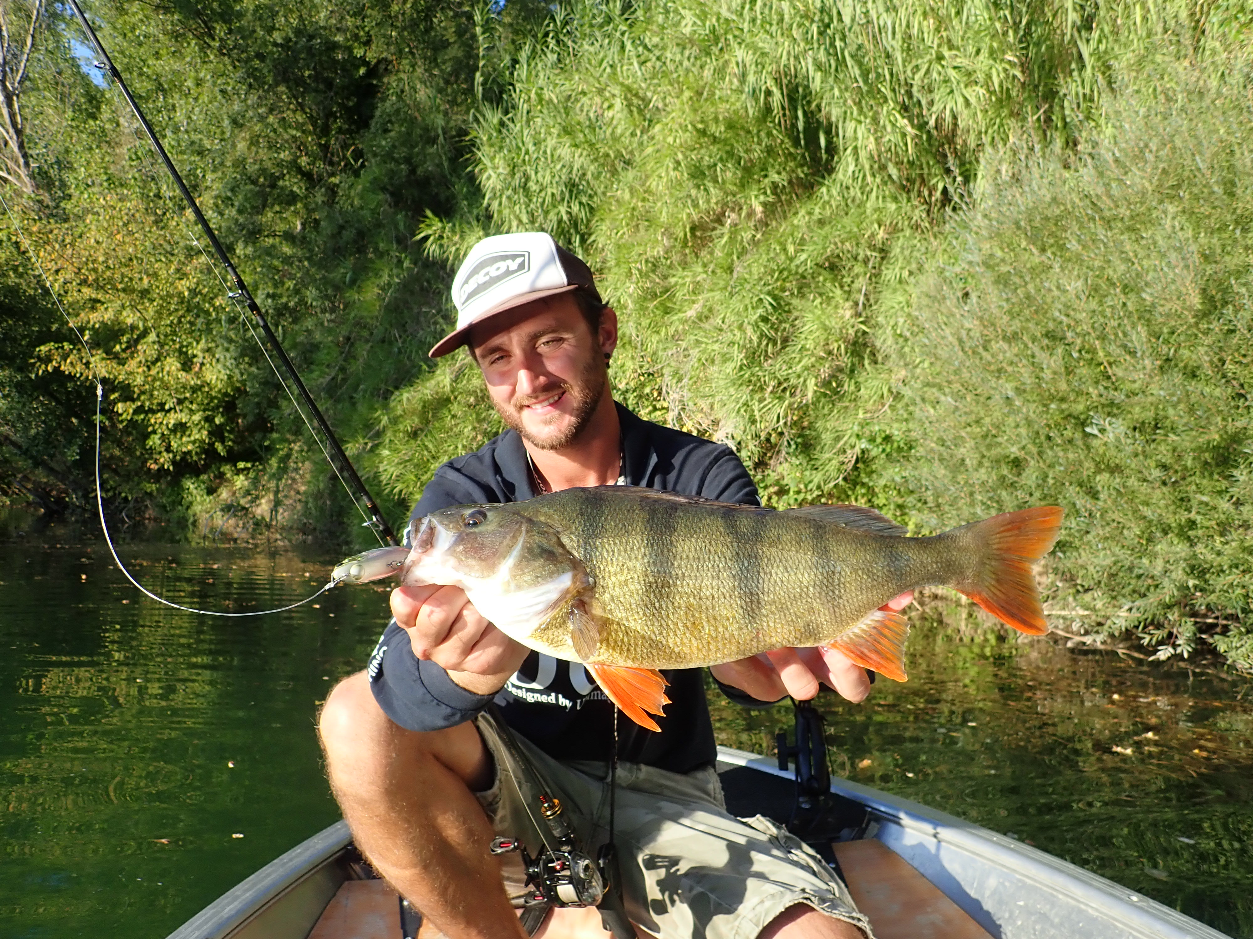 Pêche aux leurres durs : une belle journée d'automne en rivière !