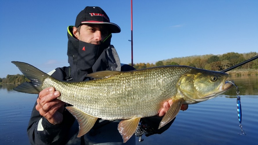 Avec le Jigging, traquez-les en profondeur ! 