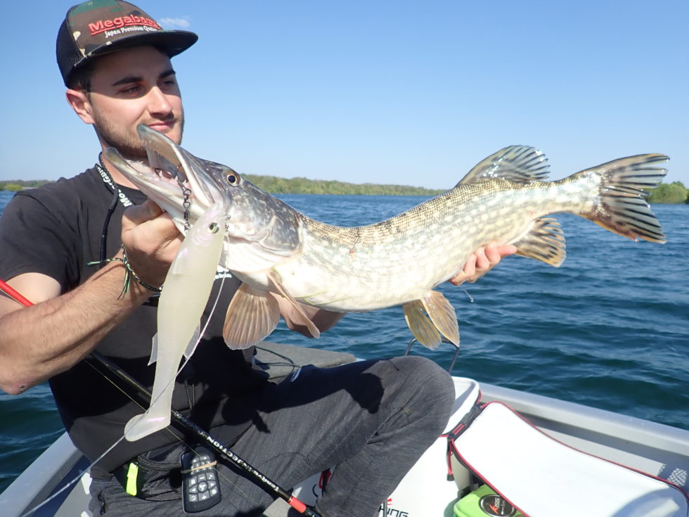 Ouverture du brochet 2019 A la découverte du Der ! Ultimate Fishing