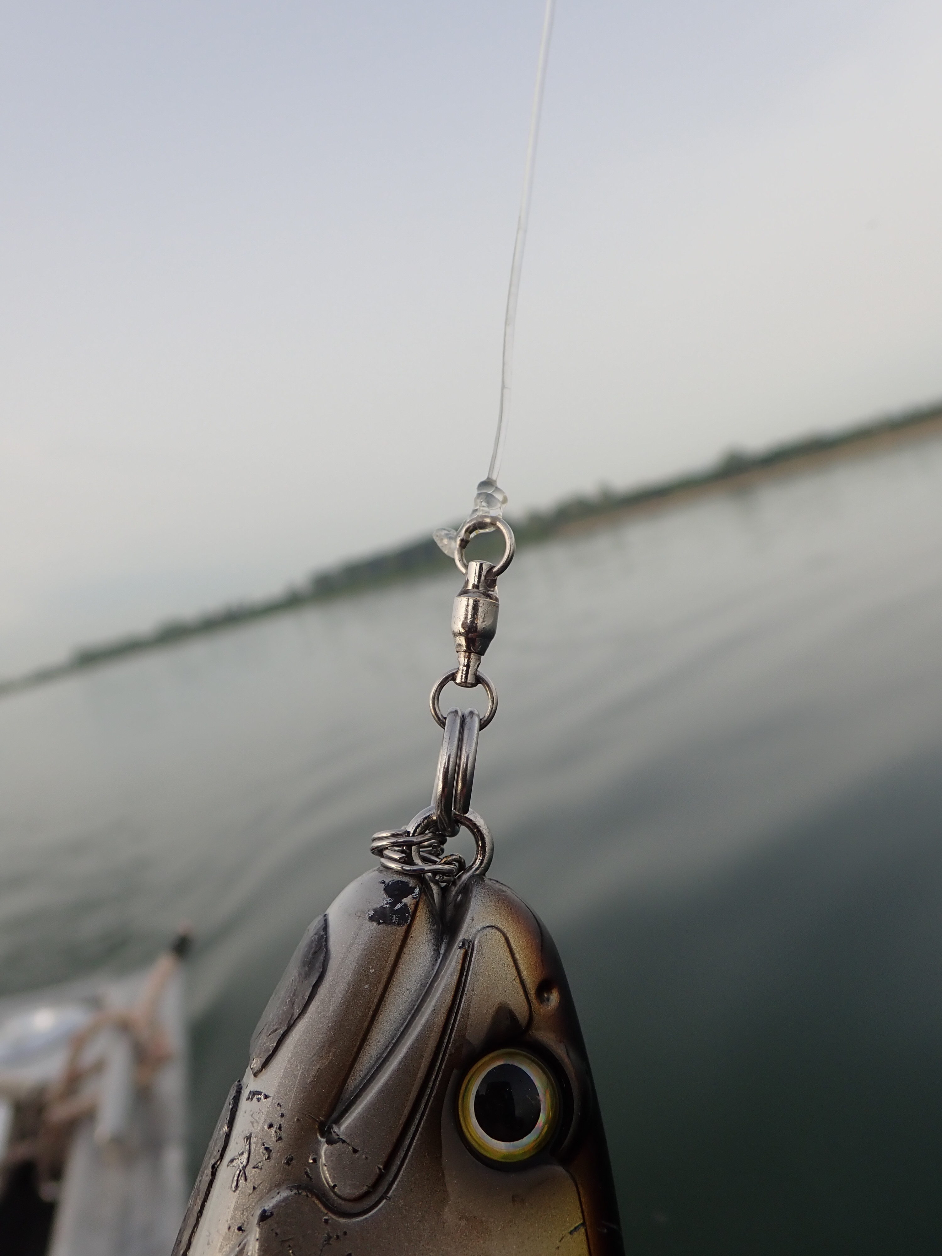 Quel appât pour la pêche ? - Blog