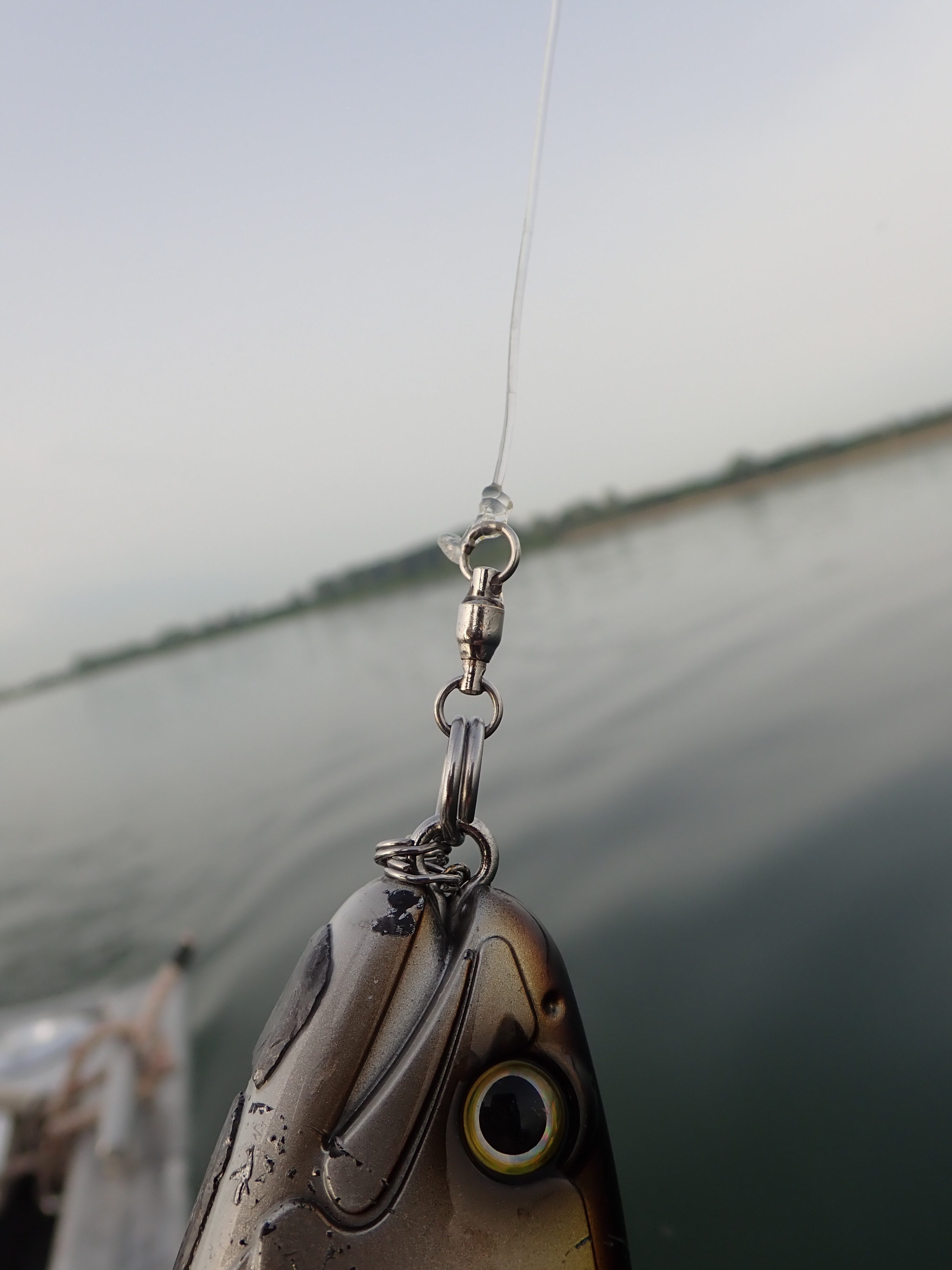 Pêche du brochet au big bait : Quelles tresses et bas de ligne