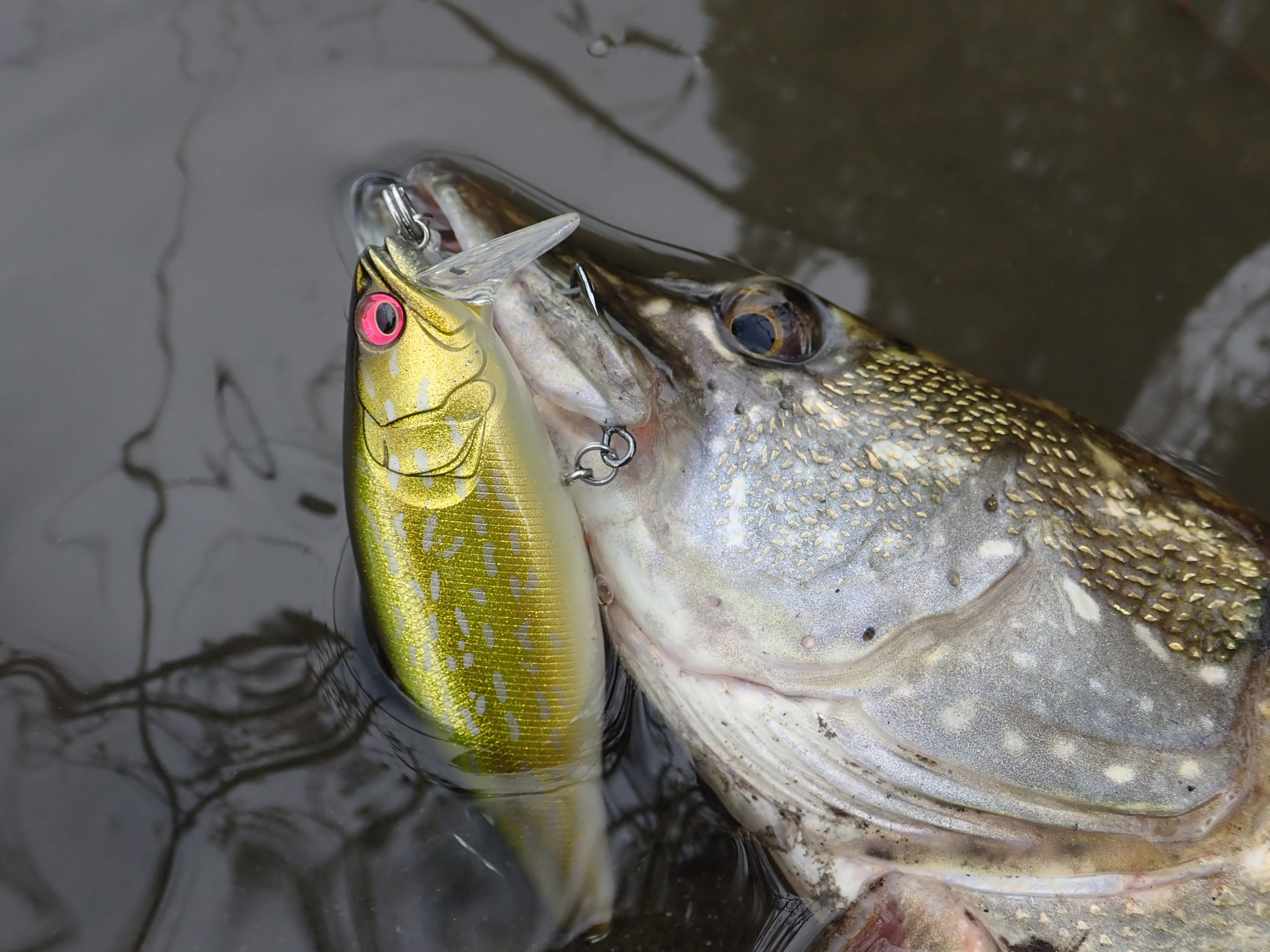 Décroche-leurre Pike'n Bass à chaine - Integral Pêche