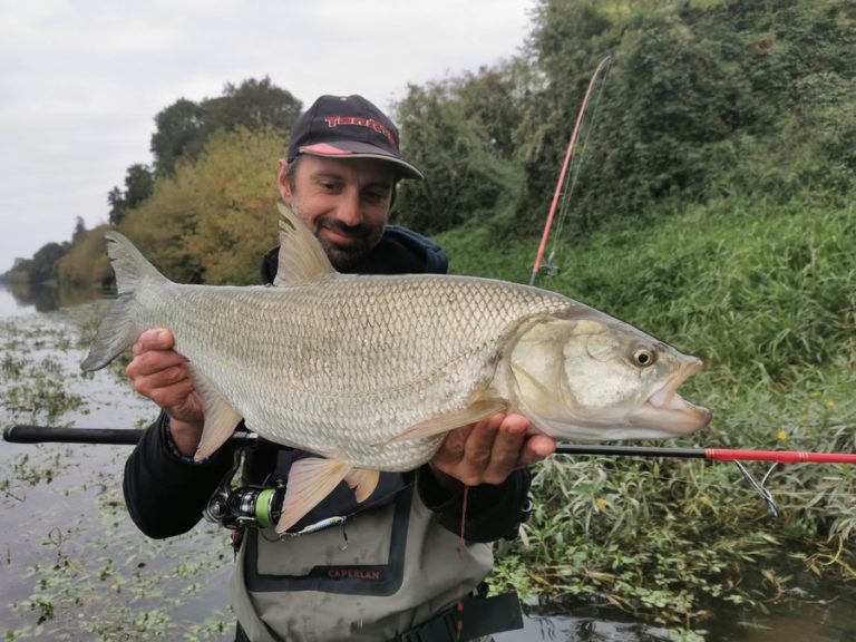 Pêche de l’aspe en Automne et en Hiver | Ultimate Fishing